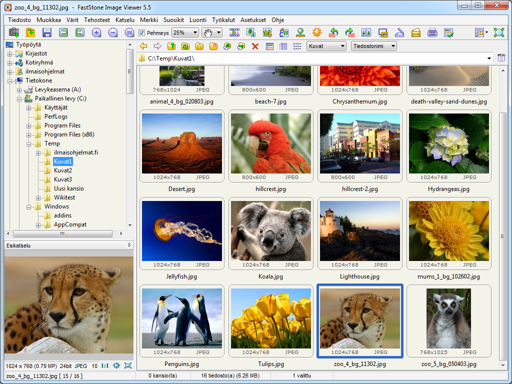 FastStone Image Viewer